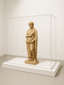 Custom Museum Exhibition Display cases | Acrylic | Plexiglass - Laser Art MTL