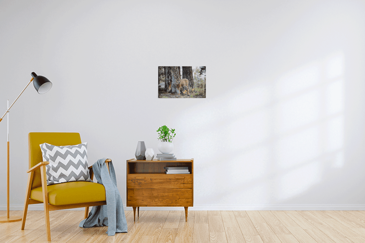 Custom Acrylic Prints - 3:2 RATIO - Laser Art MTL