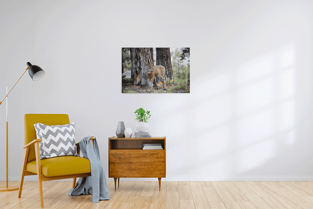 Custom Acrylic Prints - 3:2 RATIO - Laser Art MTL