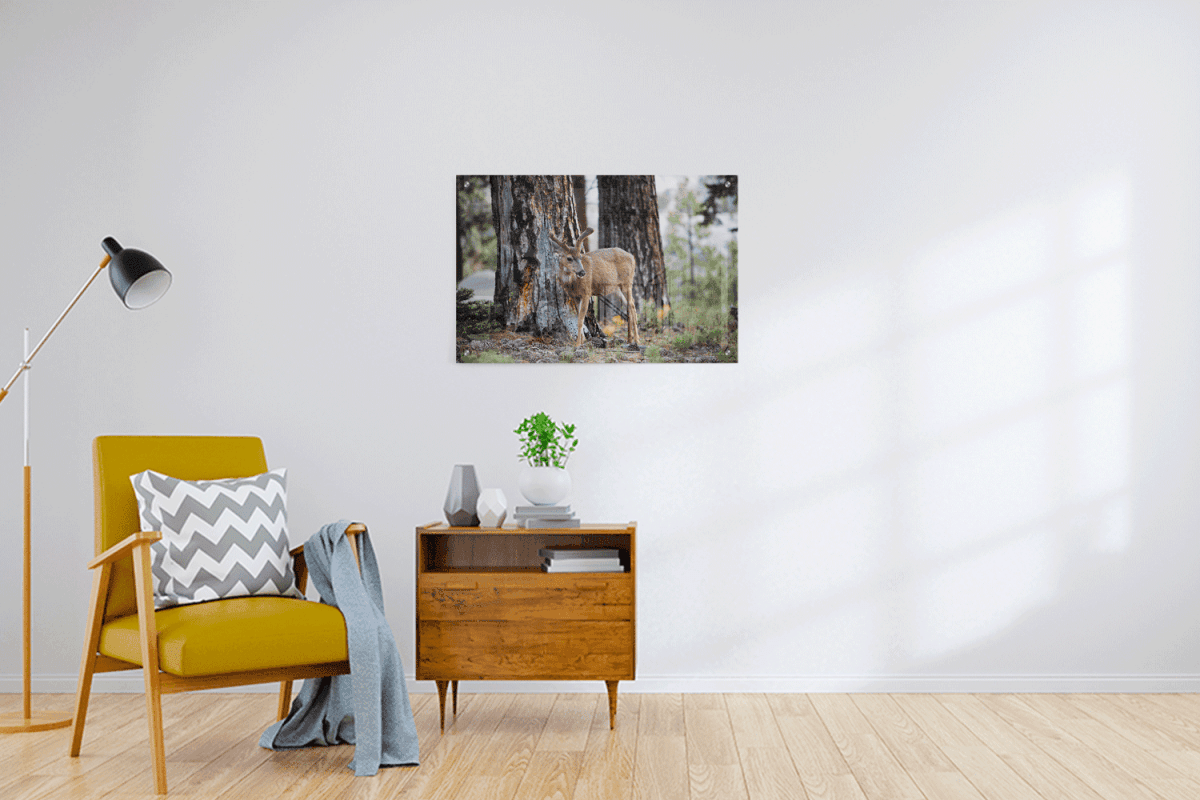 Custom Acrylic Prints - 3:2 RATIO - Laser Art MTL