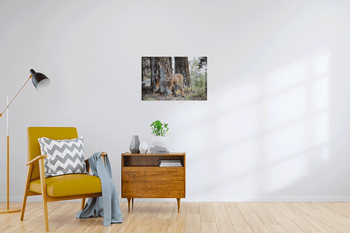 Custom Acrylic Prints - 3:2 RATIO - Laser Art MTL