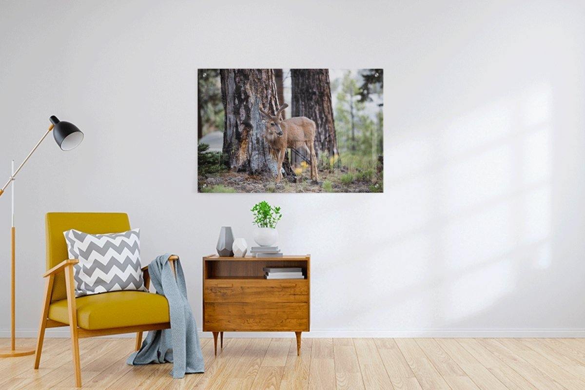 Custom Acrylic Prints - 3:2 RATIO - Laser Art MTL Main image