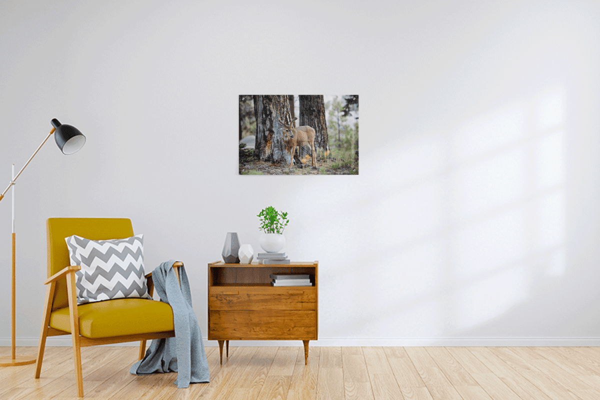 Custom Acrylic Prints - 3:2 RATIO - Laser Art MTL
