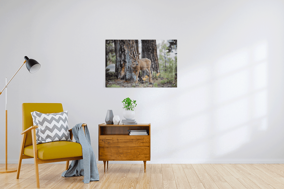Custom Acrylic Prints - 3:2 RATIO - Laser Art MTL