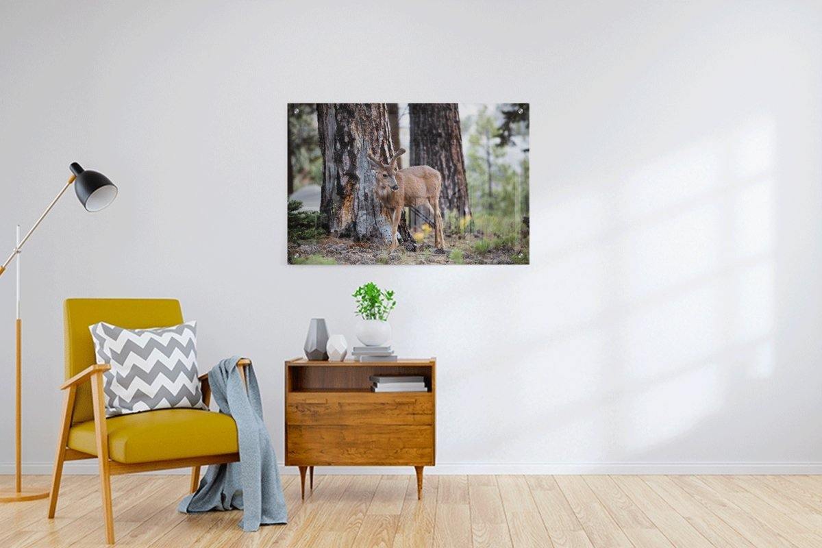Custom Acrylic Prints - 3:2 RATIO Secondary image