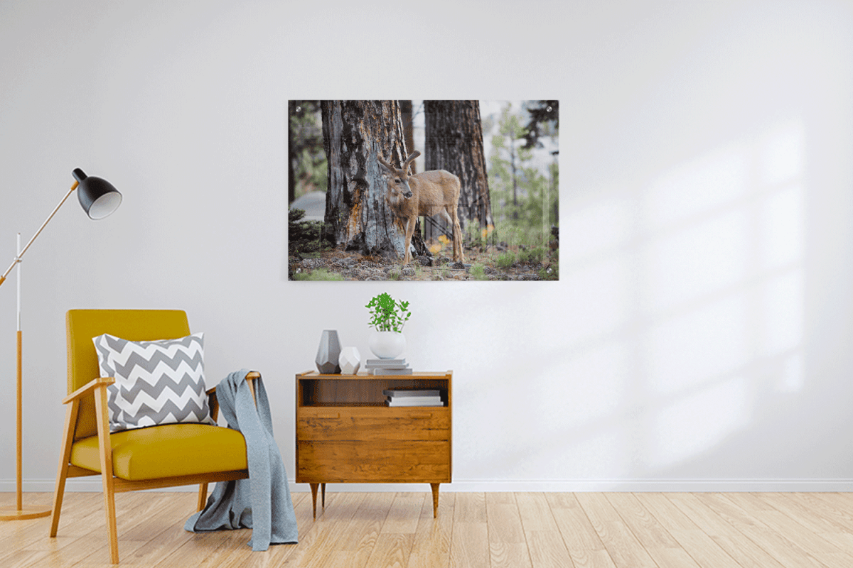 Custom Acrylic Prints - 3:2 RATIO - Laser Art MTL